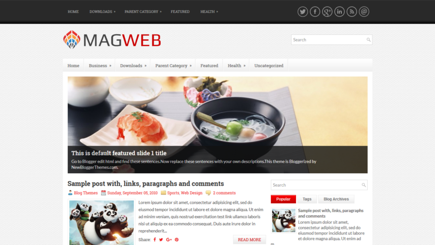 MagWeb