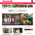 Viral Mag Blogger Template