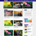 Nixe Blogger Template